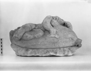 Marble Palaemon on a dolphin. Corinth Image: BW 1981 055 01